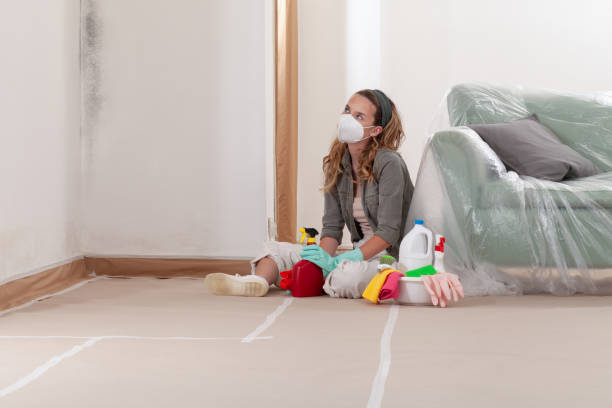 Reliable Mold Remediation contractor in Washington, WA by 24 Hour Mold Removal
